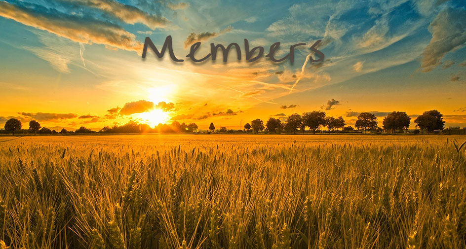 Sunrise over a wheat field with the word 'Members' at the top.